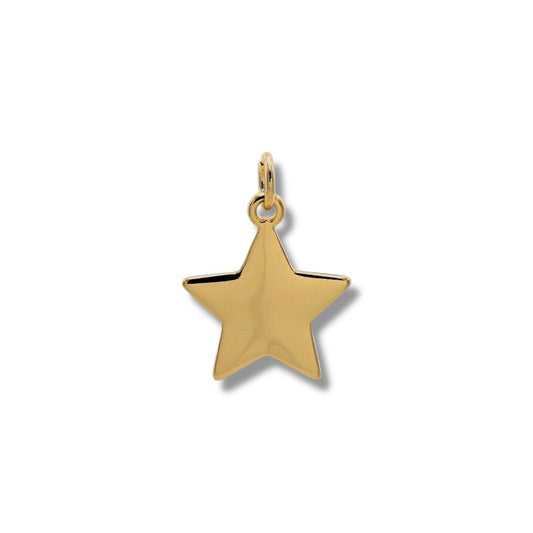 Gold Star Charm