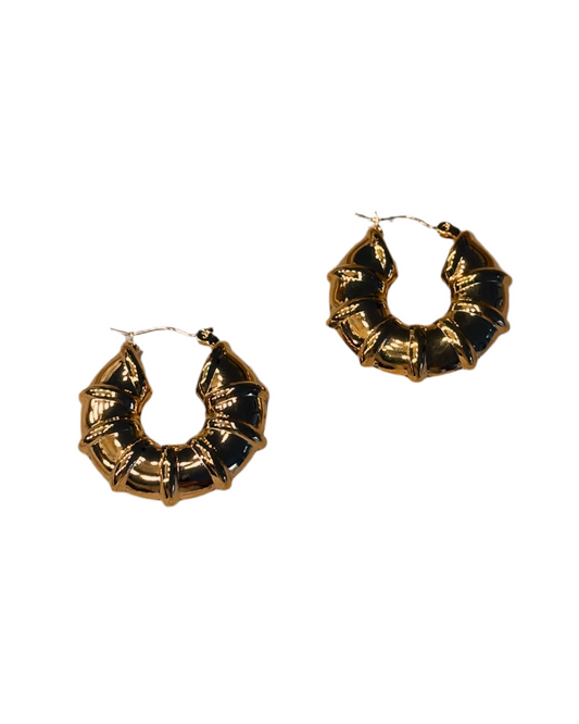 Clarissa Hoops