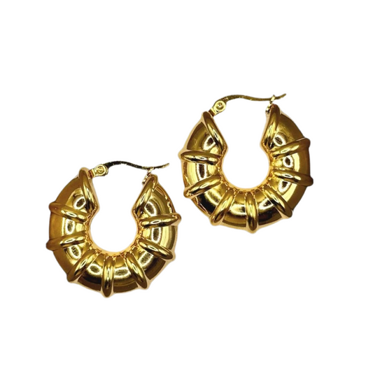 Clarissa Hoops